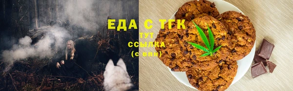 гидра Володарск