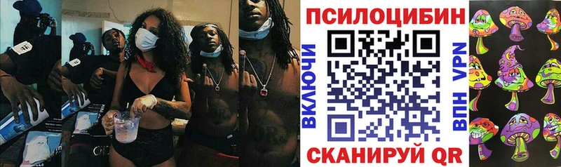как найти закладки  Карабаново  Галлюциногенные грибы MAGIC MUSHROOMS 